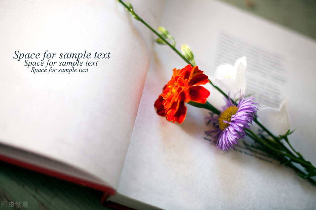 ?¤′??????é??ooé?…èˉ?é??1000?????ˉ??¥??£?¤??°‘???