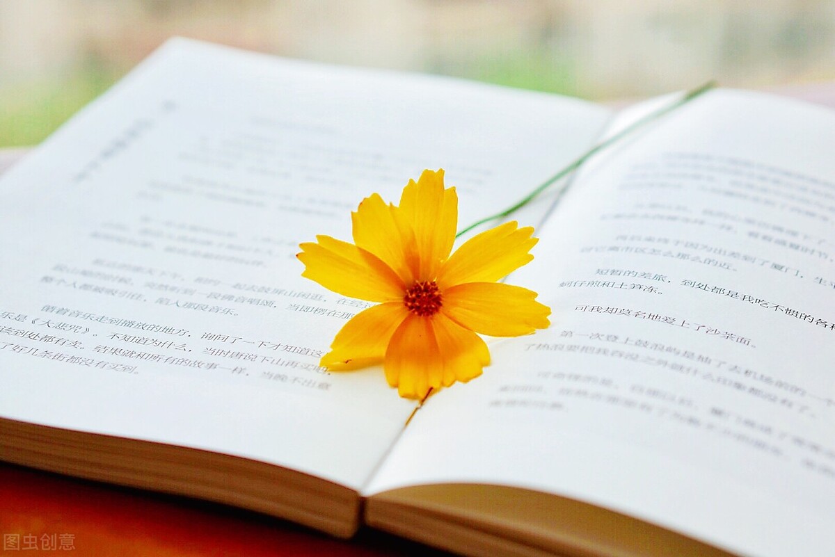 ?¤′??????é??ooé?…èˉ?é??1000?????ˉ??¥??£?¤??°‘???