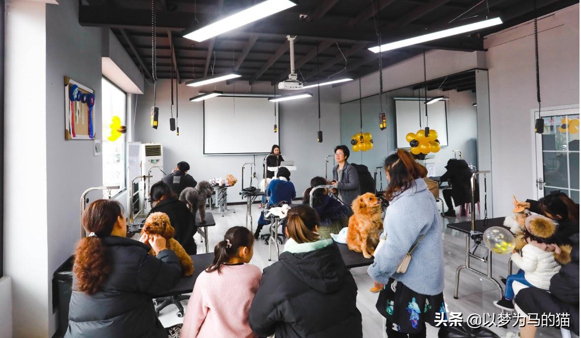 高考结束不读大学,女生可以学这6类技术,学时短,很好就业