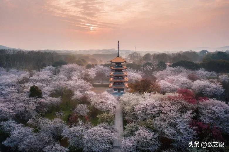 一文搞懂短视频拍摄,从镜头语言到拍摄技法