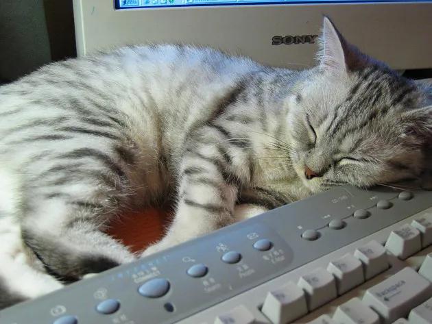 抓紧收藏!从0开始,我们应该怎么做短视频自媒体