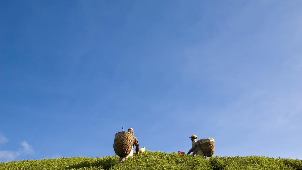 自媒体最赚钱的3种方式,都是“高级玩家”专属,小白很难学会