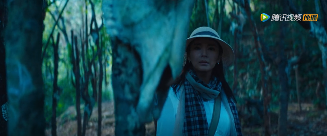 大无语,这三大平台几乎承包了所有电视剧,滤镜还各有各的丑