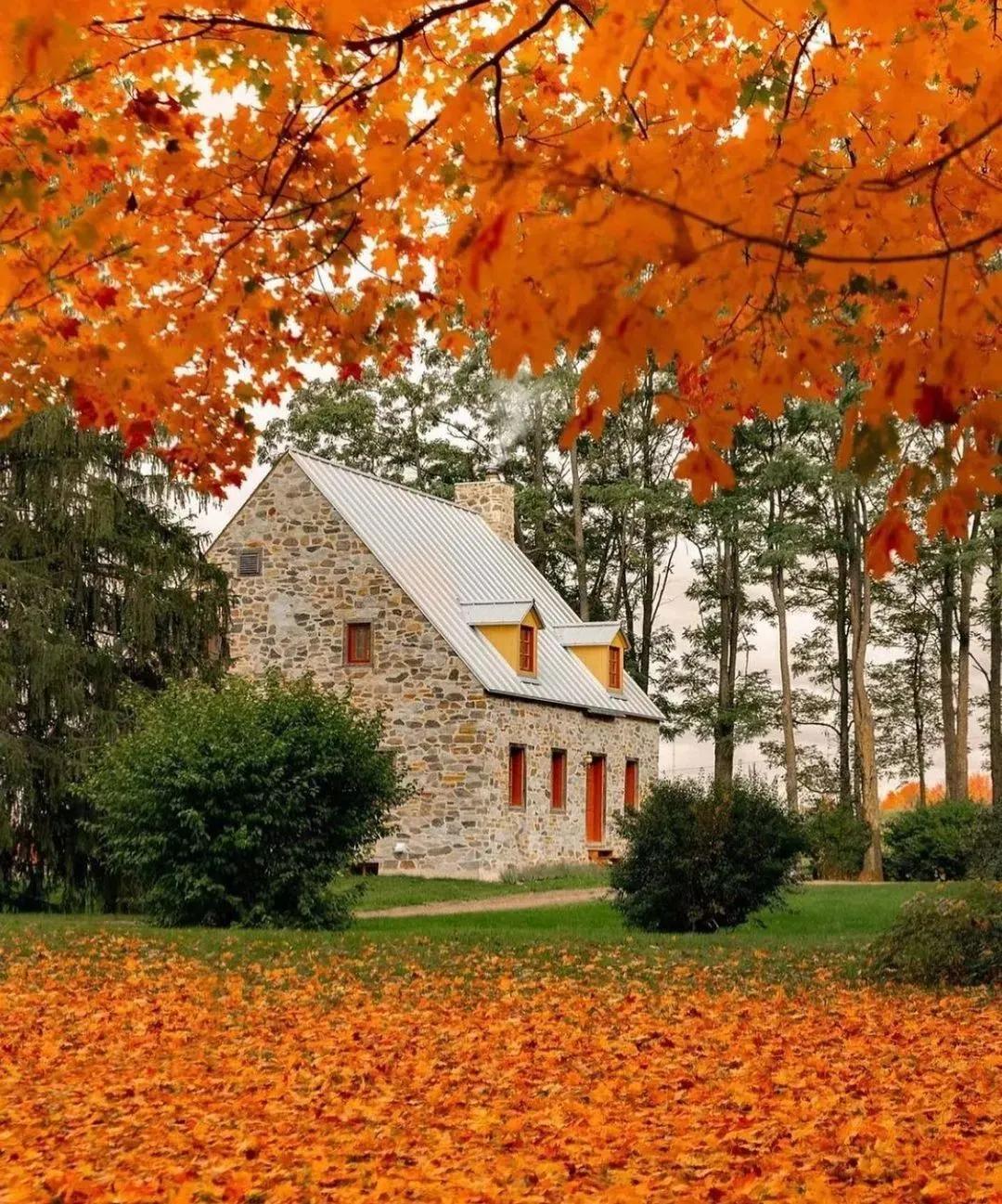 新手看过来,自媒体入门指南,五年经验干货分享