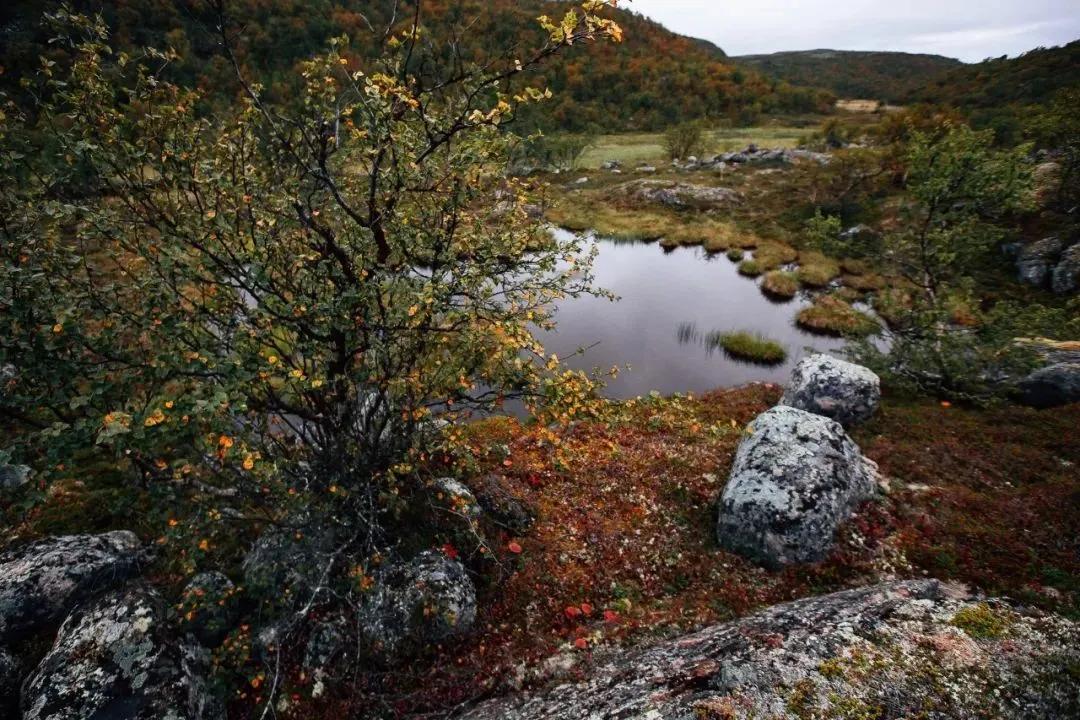 新手看过来,自媒体入门指南,五年经验干货分享