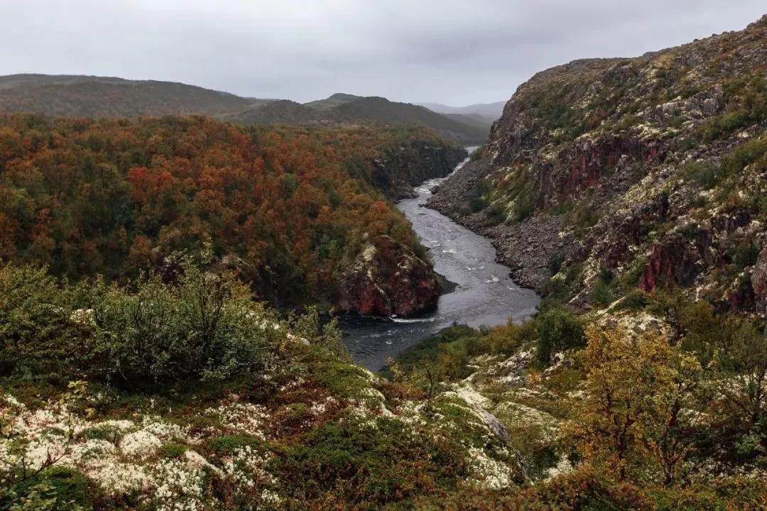 新手看过来,自媒体入门指南,五年经验干货分享