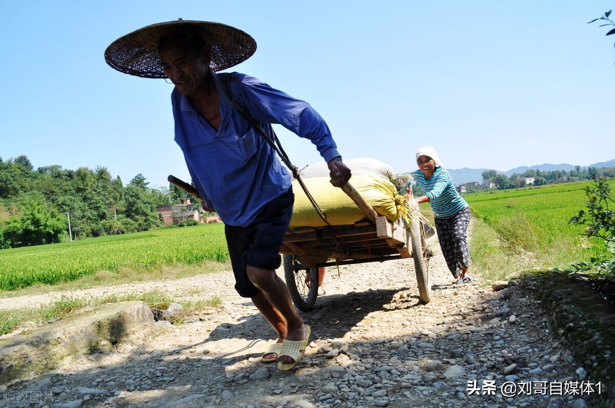 新手如何拍摄三农短视频,我来分享个人经验,手把手免费教会你
