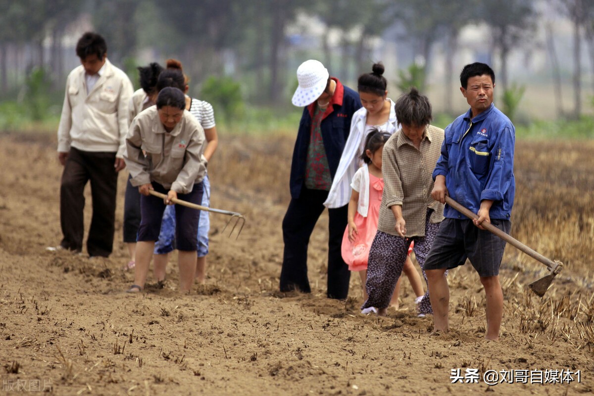 新手如何拍摄三农短视频,我来分享个人经验,手把手免费教会你