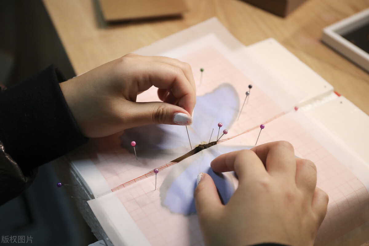 自媒体时代来临,或可实现人人都能当“网红”,哪些专业可以实现