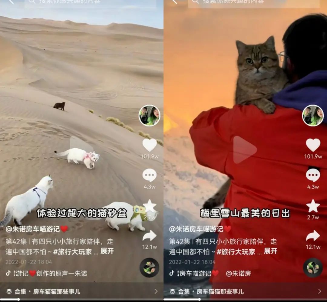 300亿播放背后,房车生活正成为一门新生意