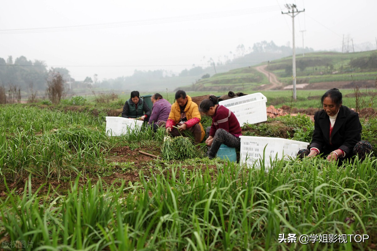 揭秘自媒体短视频剪辑赚钱的真相