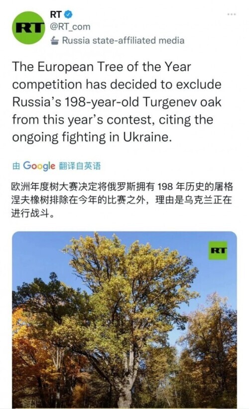 制裁俄罗斯猫和树以及芭蕾舞,连柴可夫斯基也不放过!网友:连呼吸都有错?