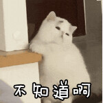 制裁俄罗斯猫和树以及芭蕾舞,连柴可夫斯基也不放过!网友:连呼吸都有错?