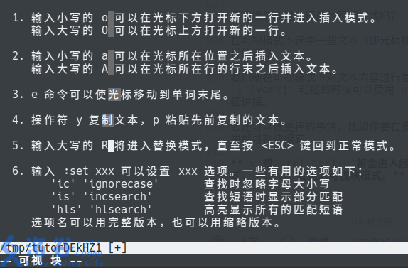「洛谷日报第83期」Vim的使用、配置与简单拓展