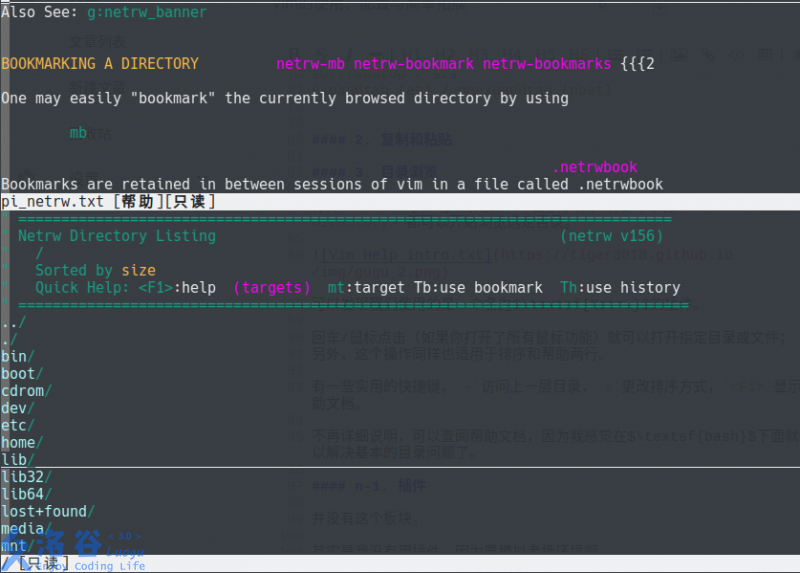 「洛谷日报第83期」Vim的使用、配置与简单拓展