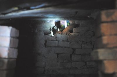 《老妇人》:她69岁,被29岁的年轻男人性侵,没人相信