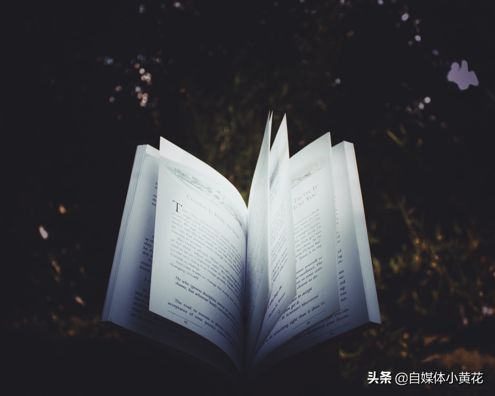 自媒体视频素材哪里找?易撰帮你快速下载素材