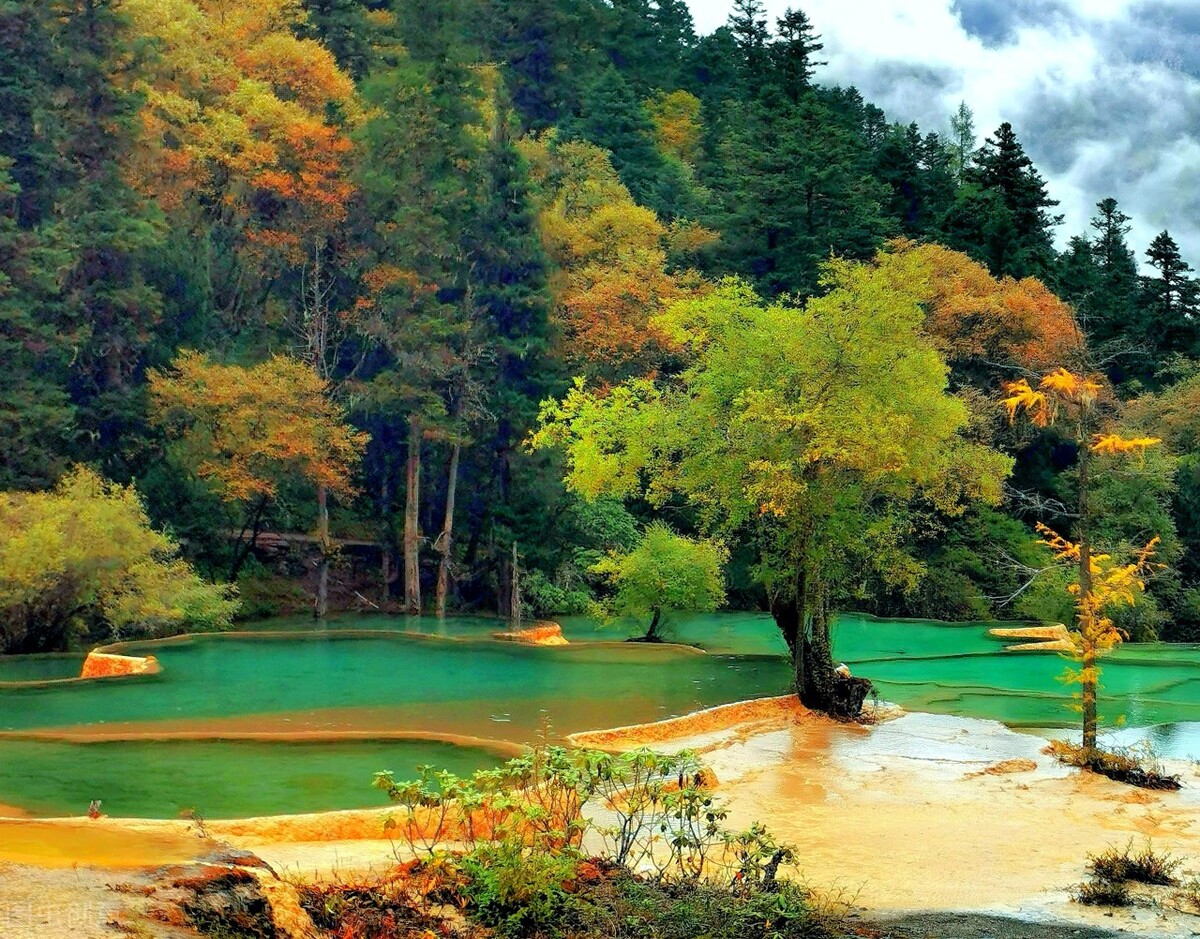 你的视频不通过中视频计划,也能获得收益,大家知道怎样做吗?