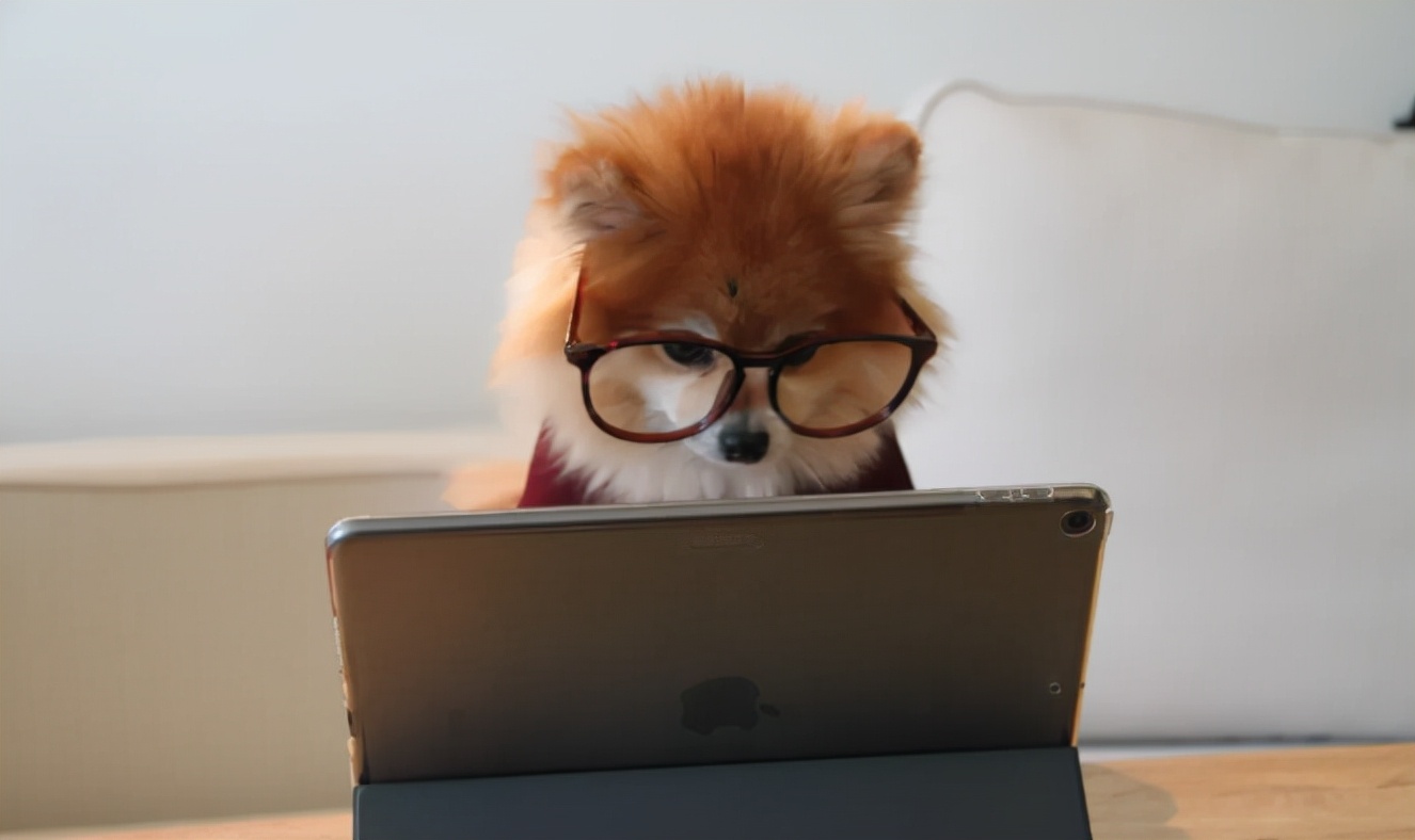 手把手教你靠在家读书赚钱月入过万:可怕的是你能行,却懒得去做