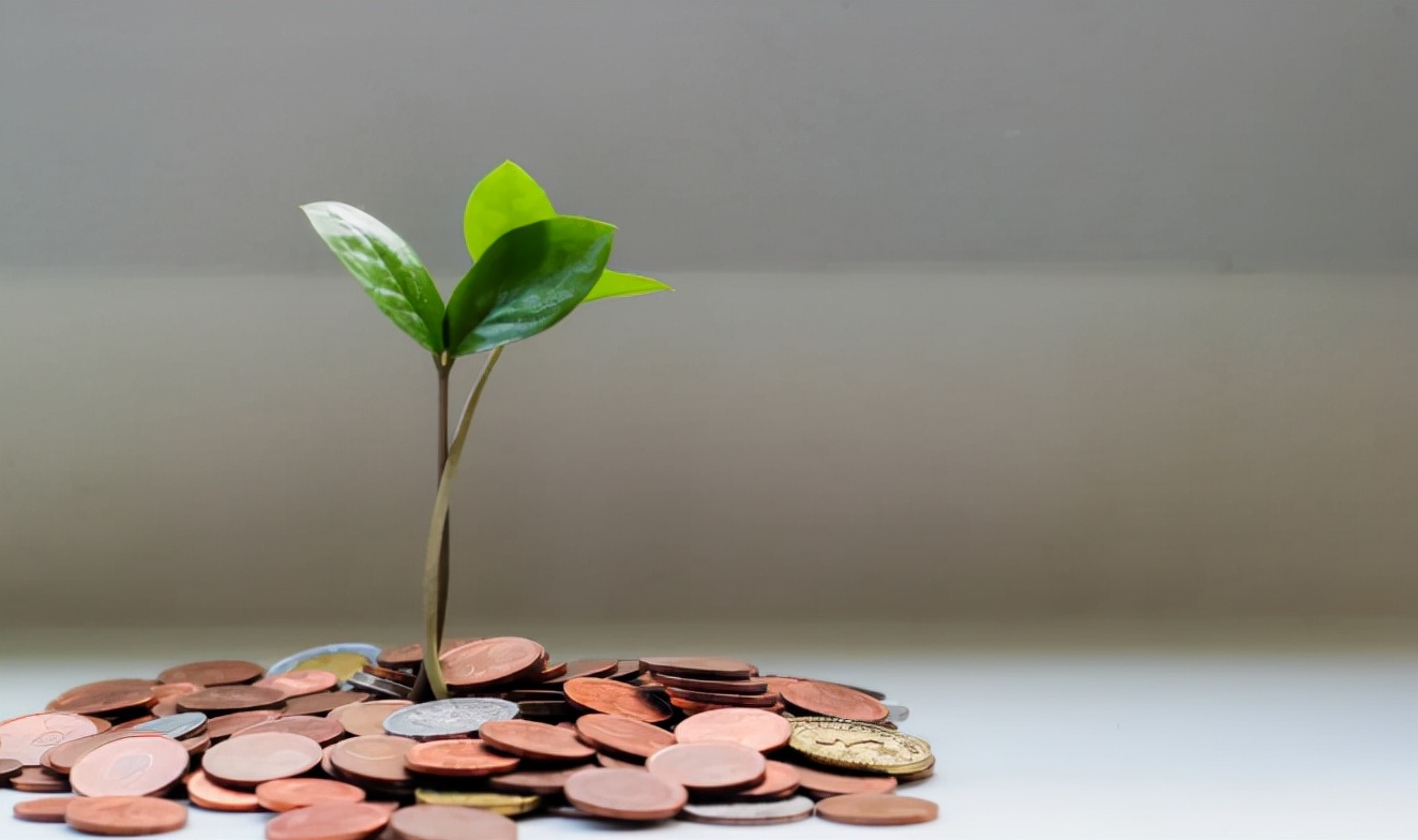 手把手教你靠在家读书赚钱月入过万:可怕的是你能行,却懒得去做