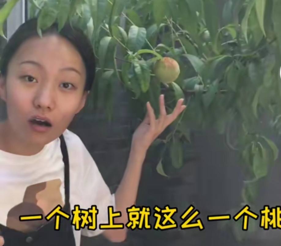 这位25岁的江苏女孩,北京的服务员和吉祥的工人现在成为互联网名人,年收入为3000万