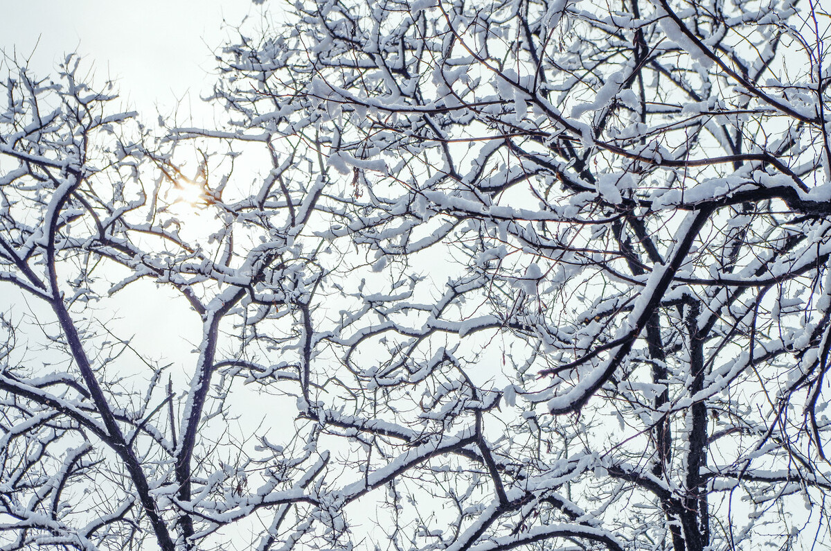 12月去哪里旅游最好的选择(11-12月十大必去旅行地)(2)
