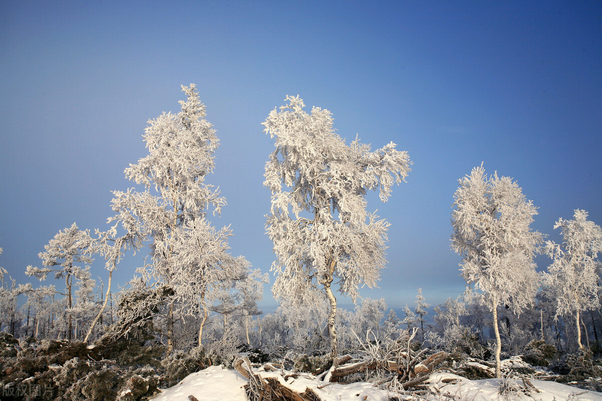 12月去哪里旅游最好的选择(11-12月十大必去旅行地)(10)