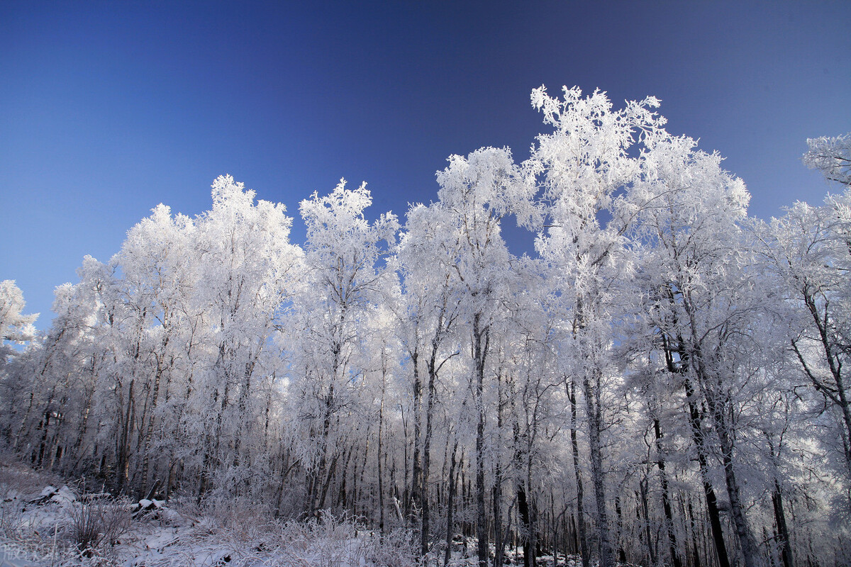 12月去哪里旅游最好的选择(11-12月十大必去旅行地)(11)