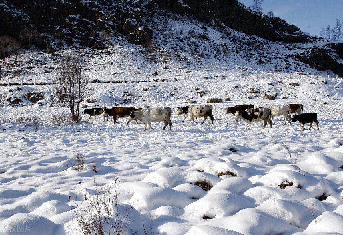 12月去哪里旅游最好的选择(11-12月十大必去旅行地)(16)