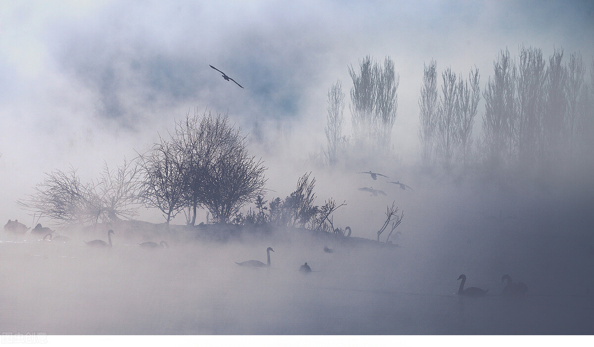 12月去哪里旅游最好的选择(11-12月十大必去旅行地)(22)