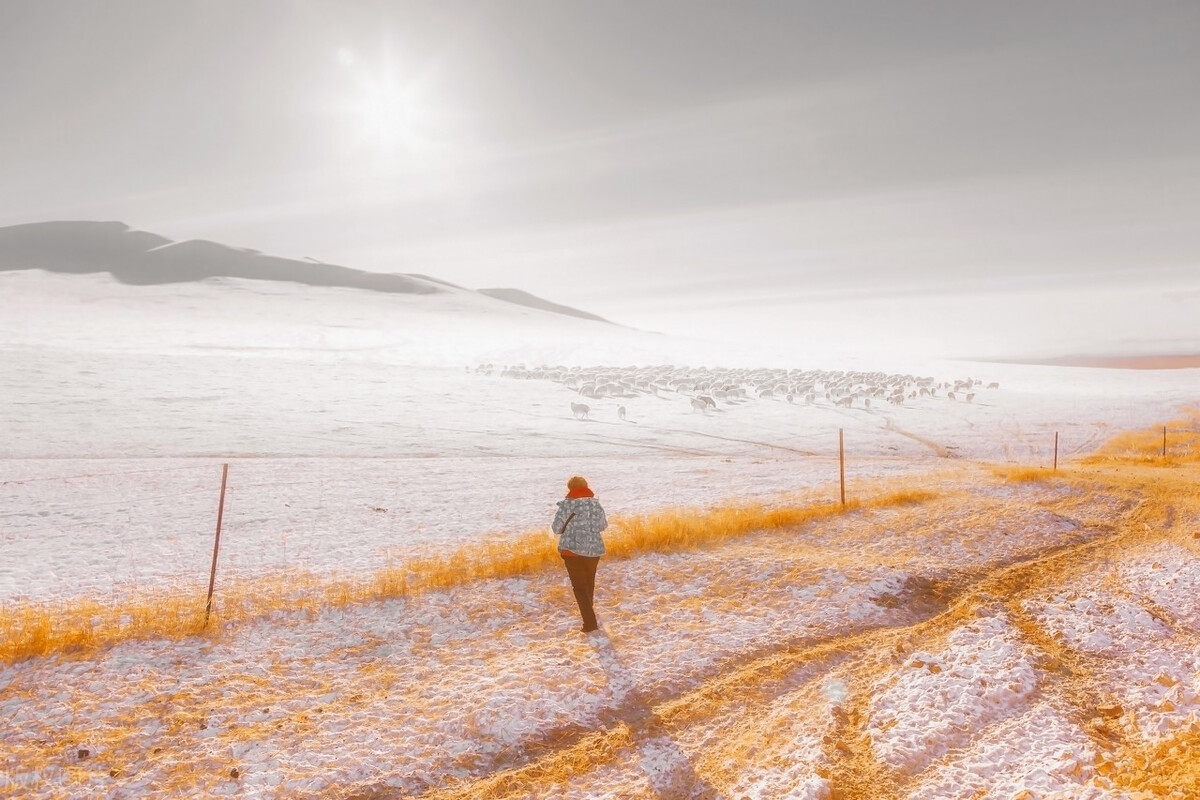 12月去哪里旅游最好的选择(11-12月十大必去旅行地)(21)