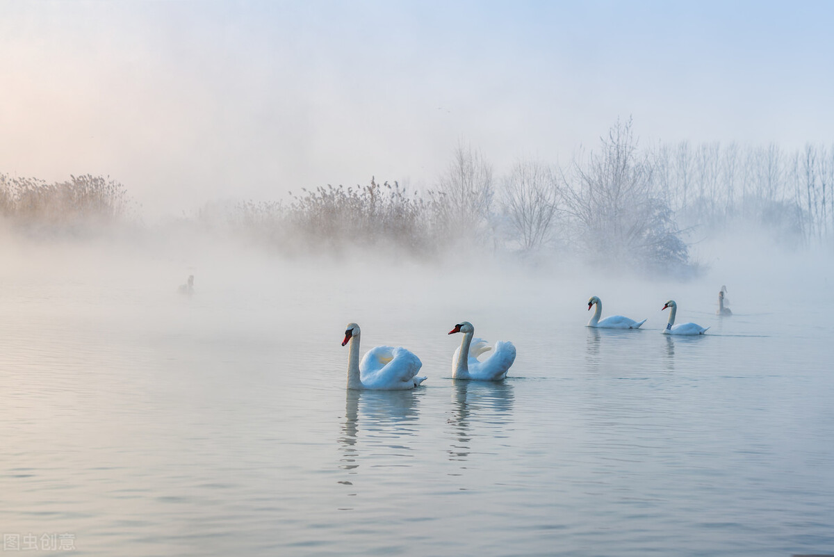 12月去哪里旅游最好的选择(11-12月十大必去旅行地)(23)