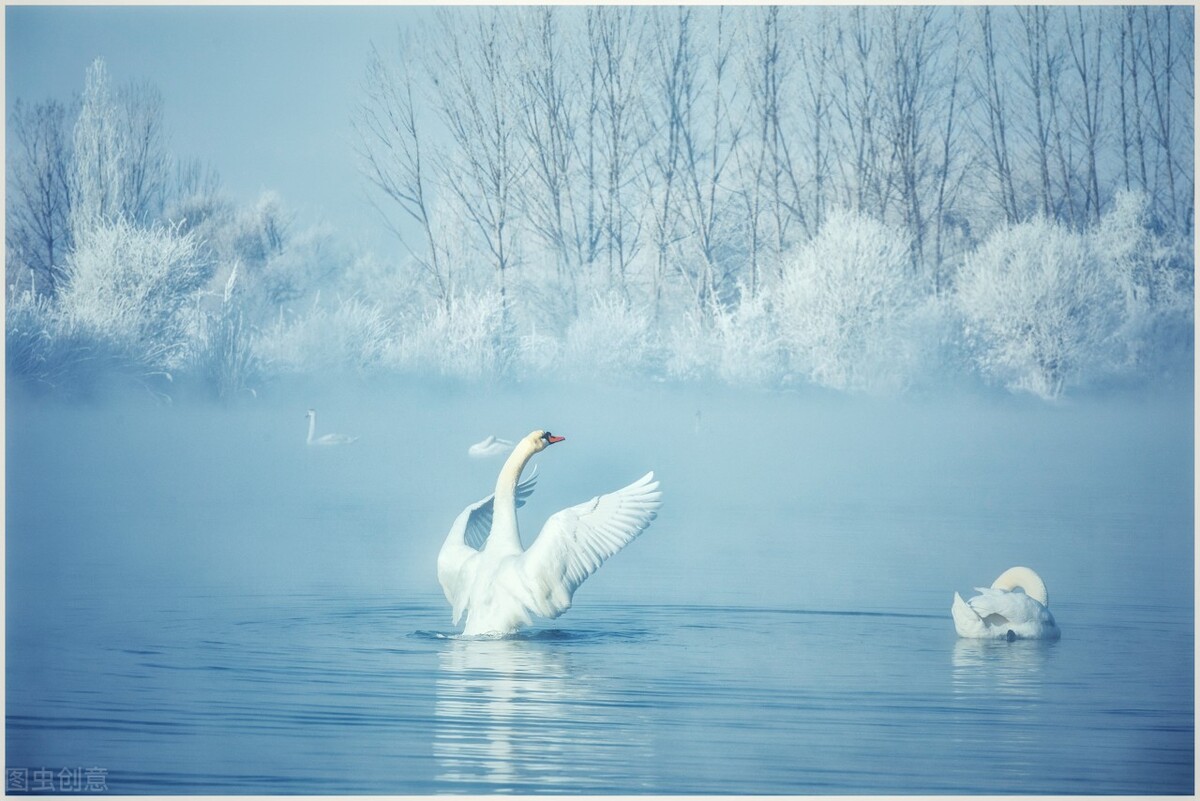 12月去哪里旅游最好的选择(11-12月十大必去旅行地)(25)