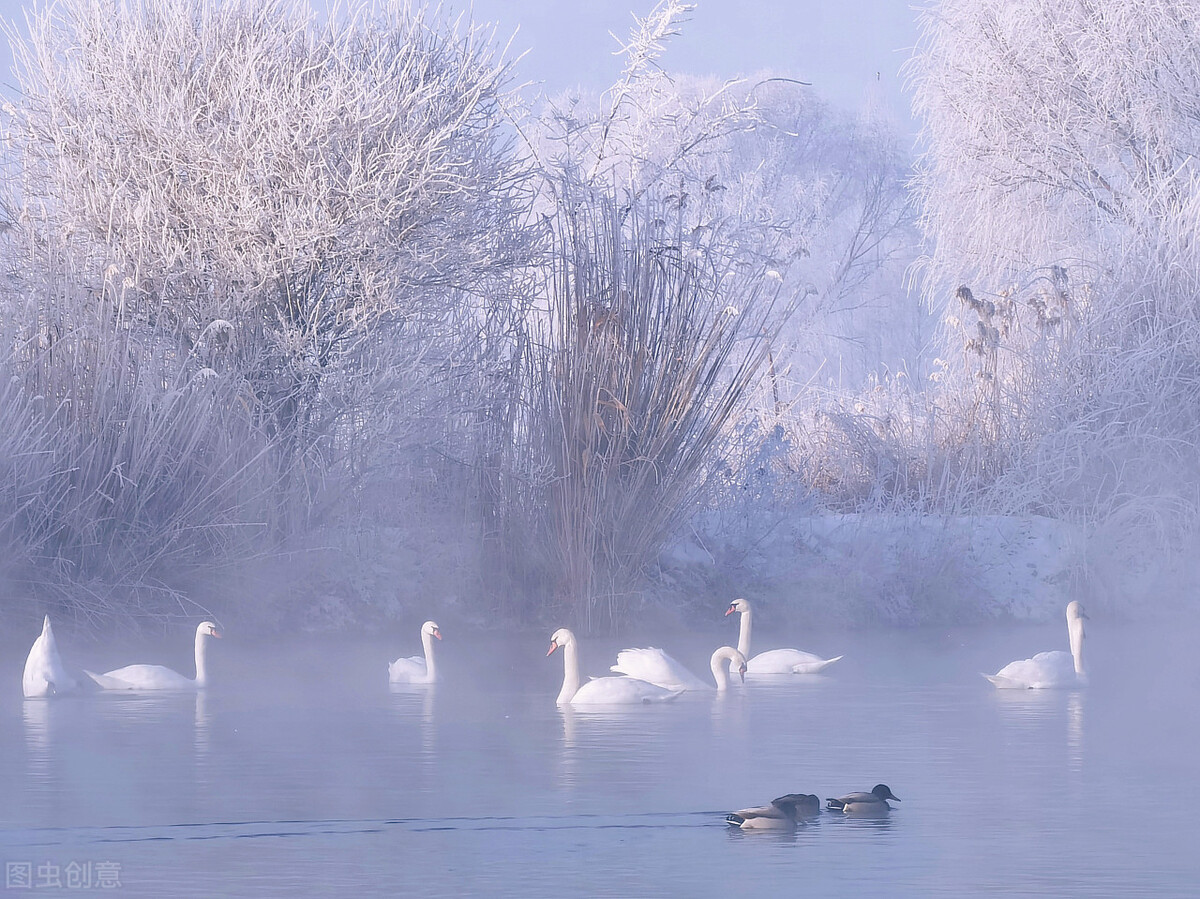 12月去哪里旅游最好的选择(11-12月十大必去旅行地)(27)