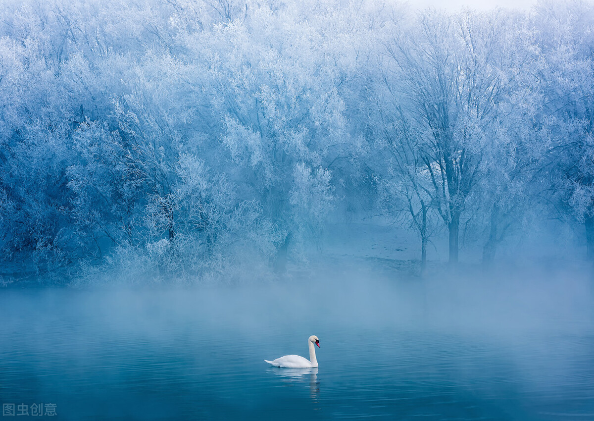 12月去哪里旅游最好的选择(11-12月十大必去旅行地)(26)