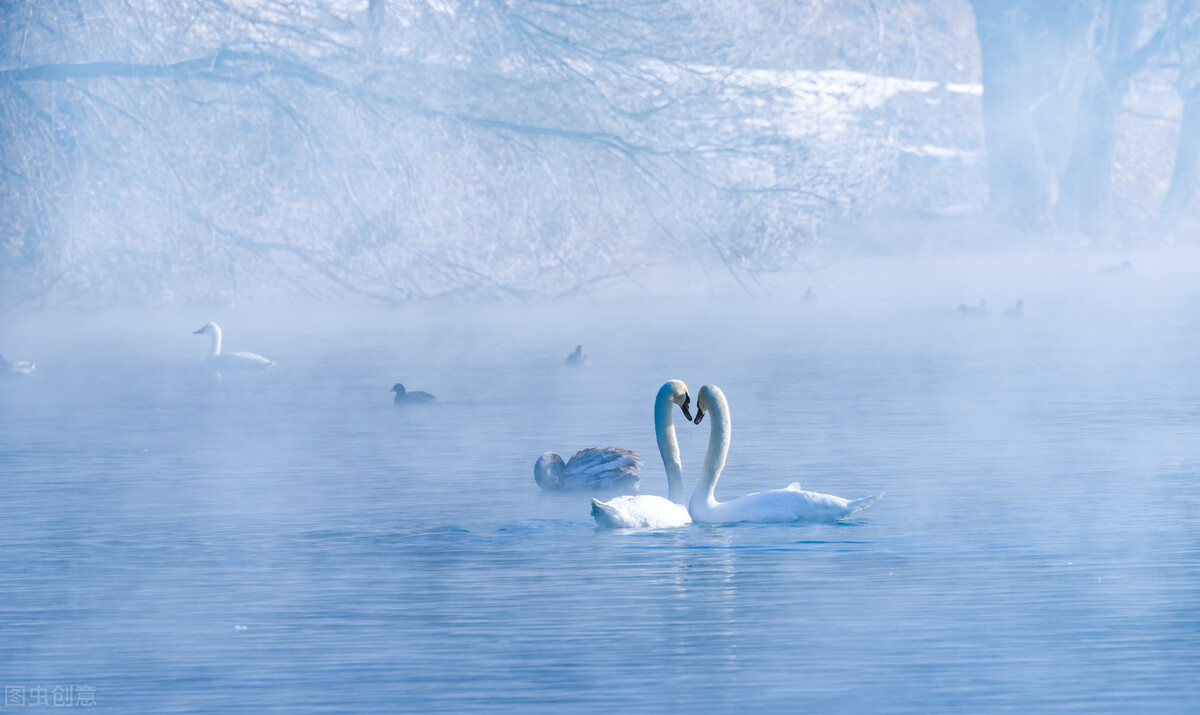 12月去哪里旅游最好的选择(11-12月十大必去旅行地)(28)