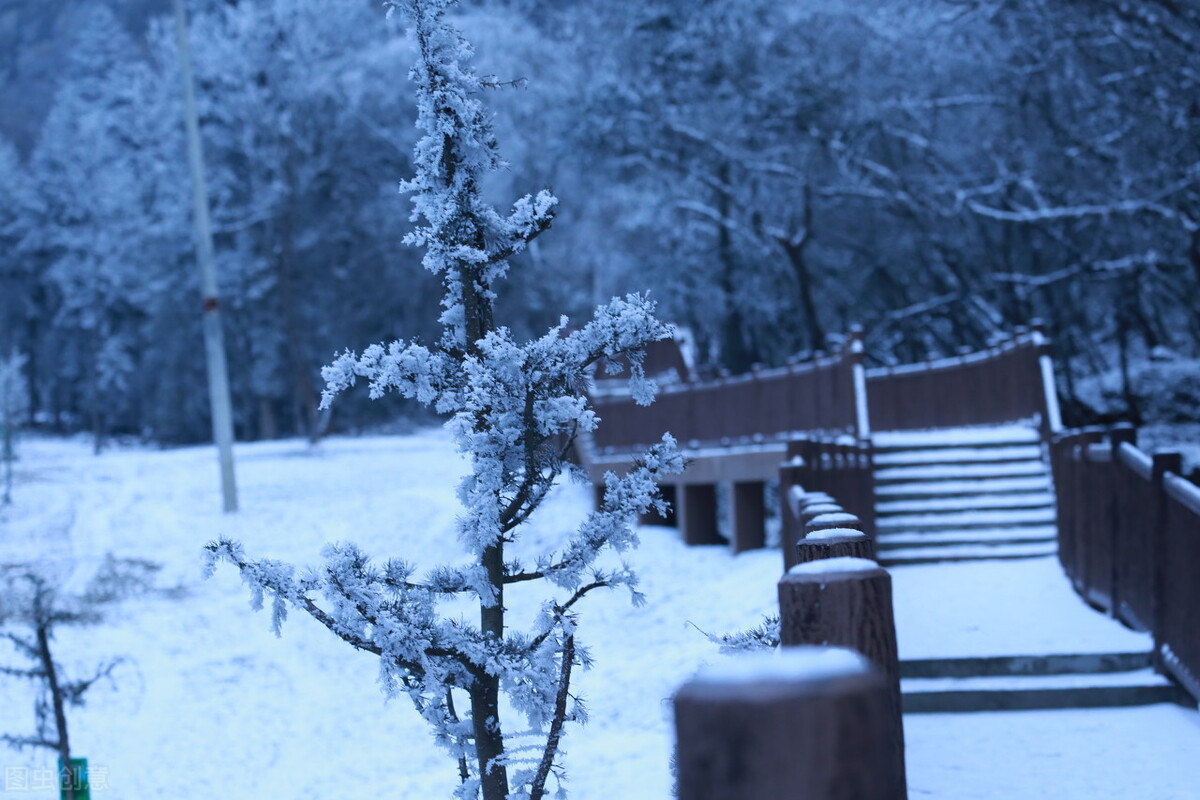 12月去哪里旅游最好的选择(11-12月十大必去旅行地)(30)