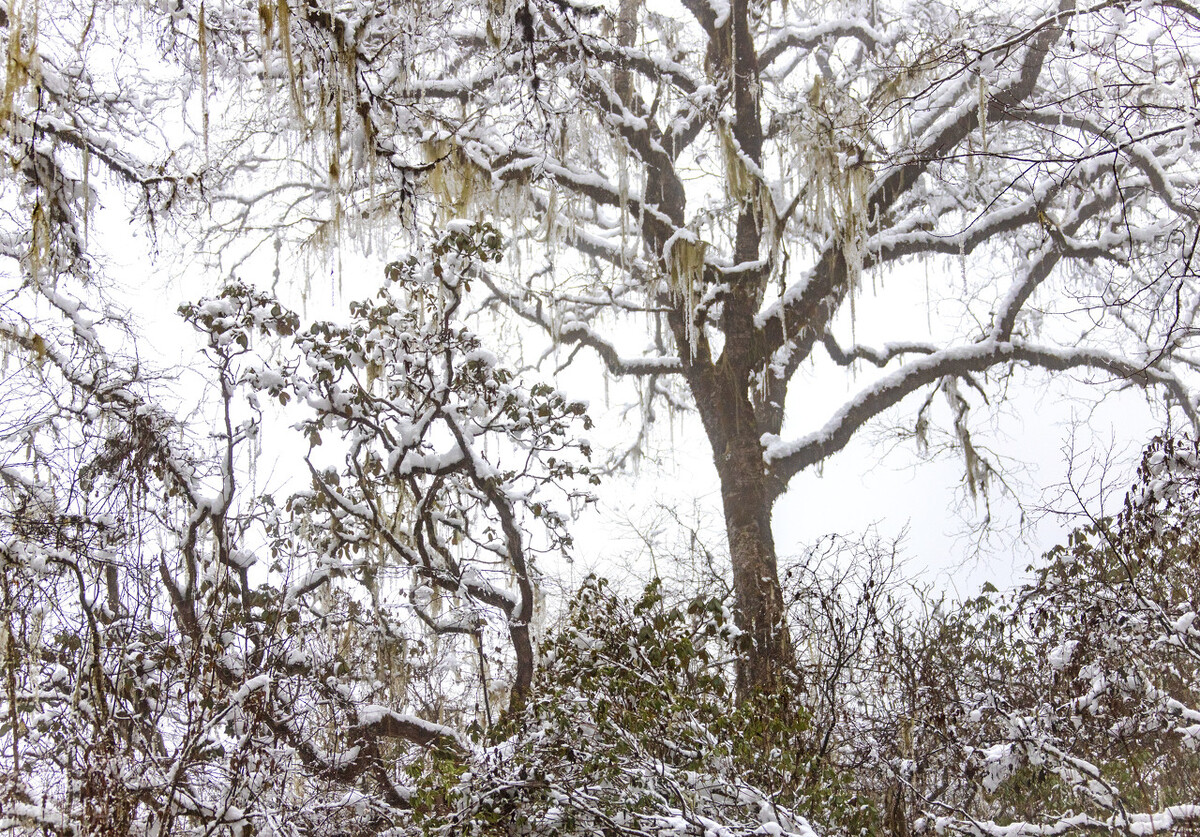 12月去哪里旅游最好的选择(11-12月十大必去旅行地)(32)