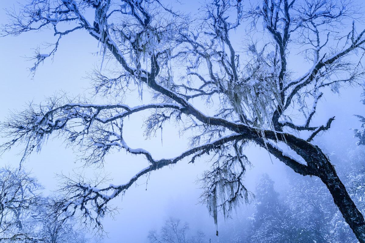 12月去哪里旅游最好的选择(11-12月十大必去旅行地)(33)