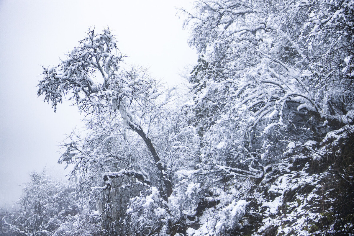 12月去哪里旅游最好的选择(11-12月十大必去旅行地)(34)