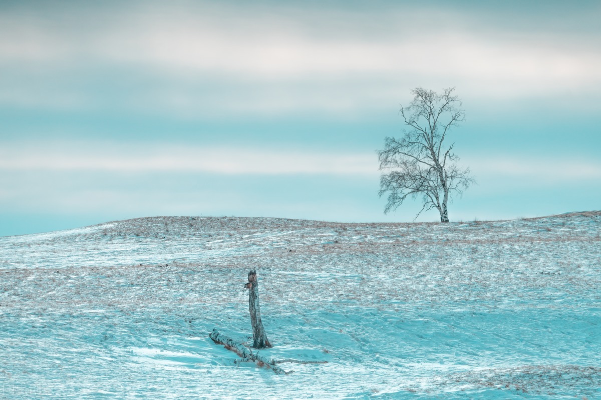 12月去哪里旅游最好的选择(11-12月十大必去旅行地)(36)