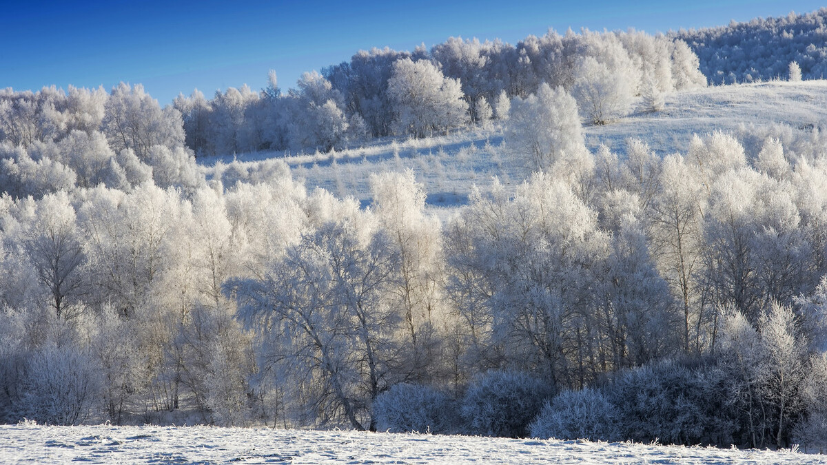 12月去哪里旅游最好的选择(11-12月十大必去旅行地)(39)