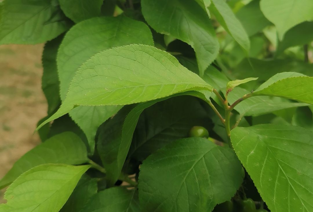 业余时间网上赚钱的方法（如何利用自己的业余时间赚钱）