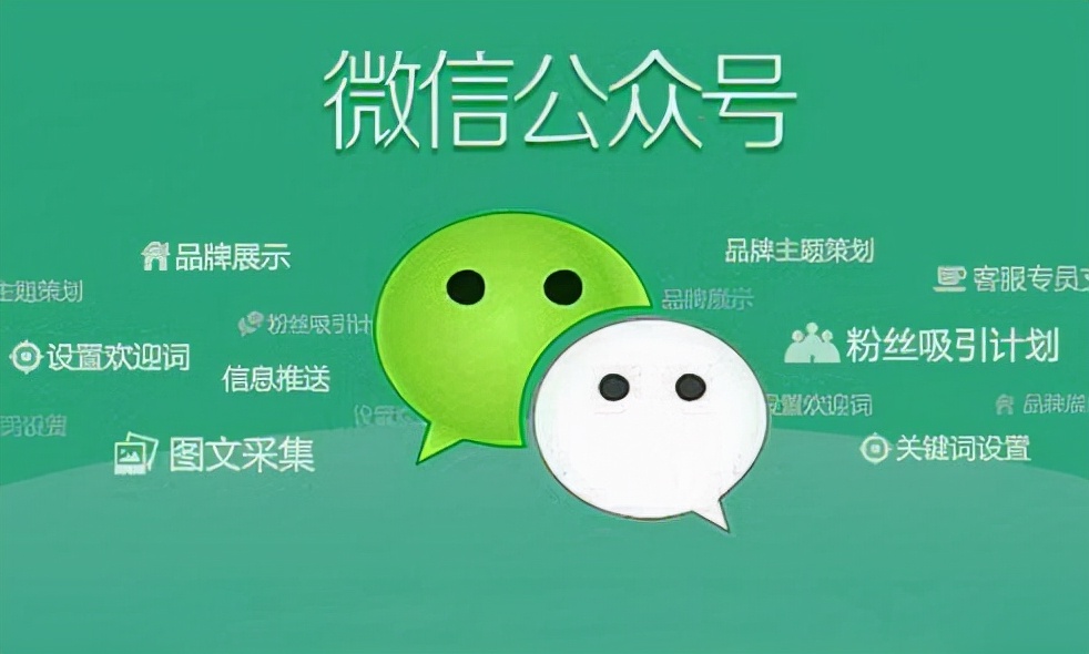 个人微信订阅号怎么运营(新手如何运营个人公众号)(3)