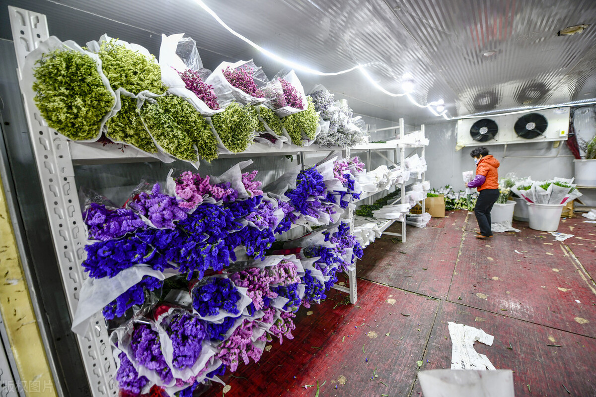 什么批发生意好做(花卉批发市场越大越好吗)(4)