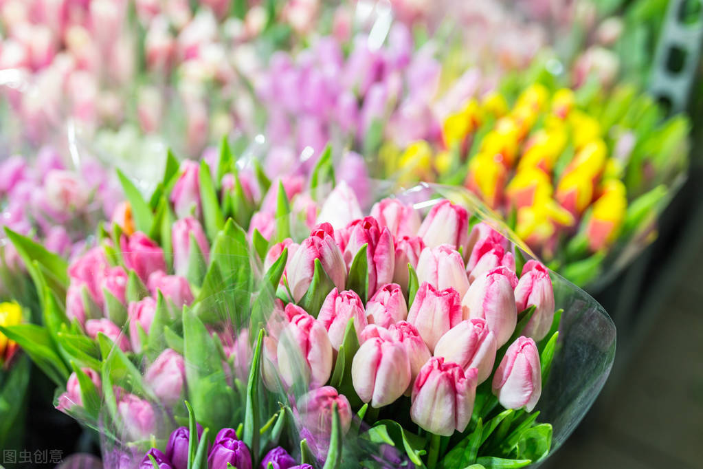 什么批发生意好做(花卉批发市场越大越好吗)(3)