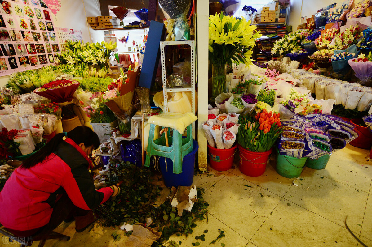 什么批发生意好做(花卉批发市场越大越好吗)(7)