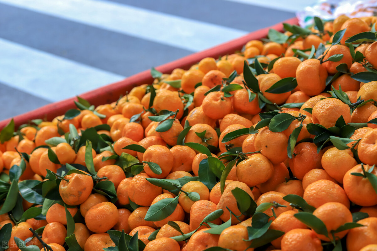 做水果批发商生意技巧(卖水果月入五万是怎么经营模式)(2)