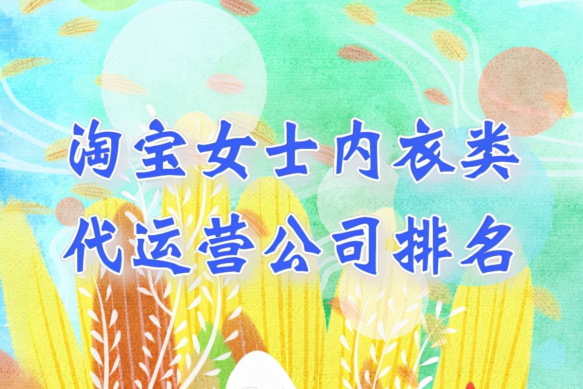 内衣淘宝代理商是怎么做的(淘宝女士内衣类代运营公司排名)(1)