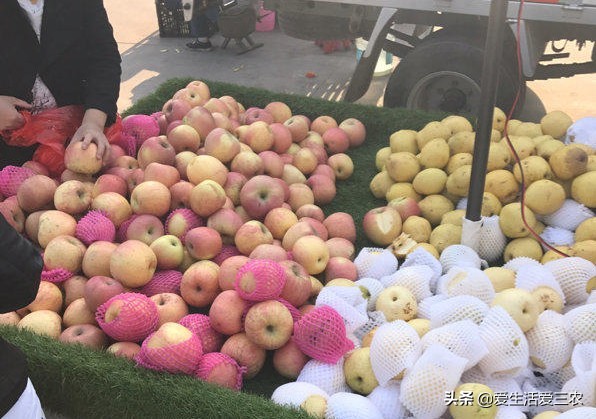 农村批发什么东西好卖(在农村做什么生意最暴利创业)(7)